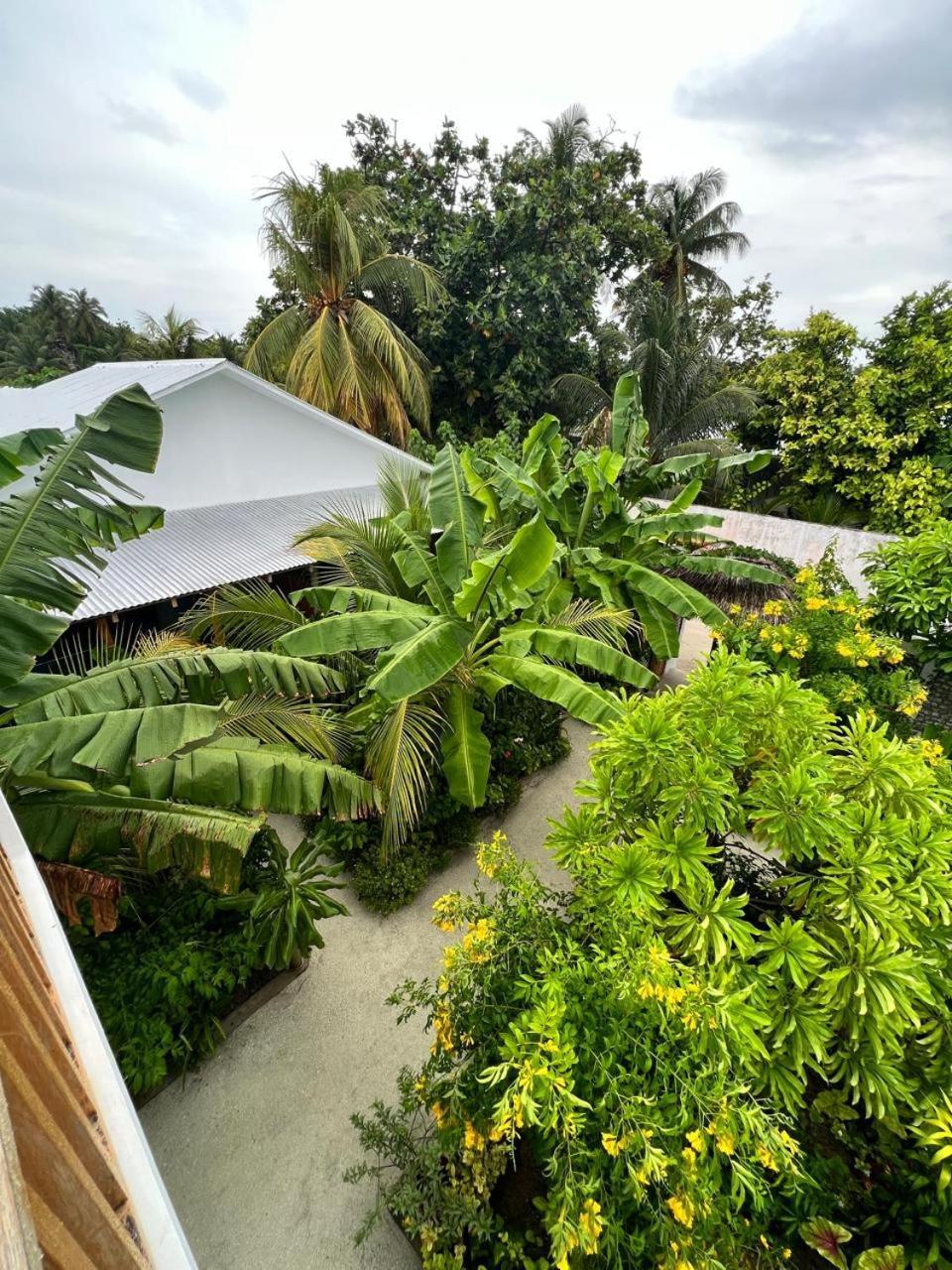 فندق Seaside Dhigurah ديجوراه المظهر الخارجي الصورة