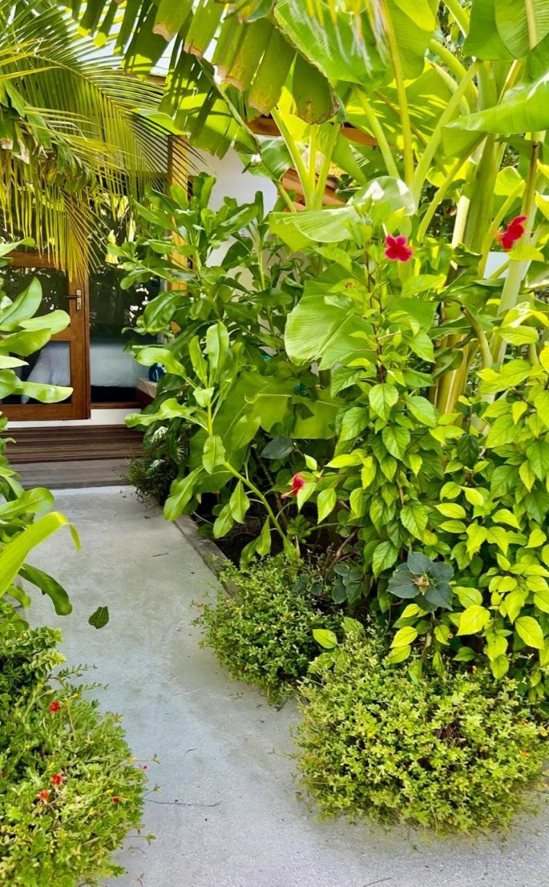 فندق Seaside Dhigurah ديجوراه المظهر الخارجي الصورة
